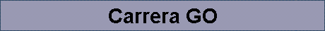 Carrera GO
