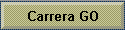 Carrera GO